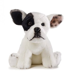 Dog Grooming Helps Promote Good Dog Health